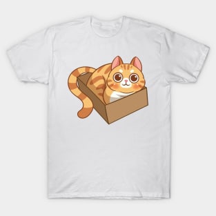 Cat in the box T-Shirt